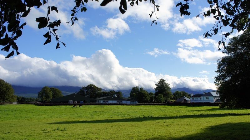 Bansha House Bed and Breakfast Tipperary Buitenkant foto